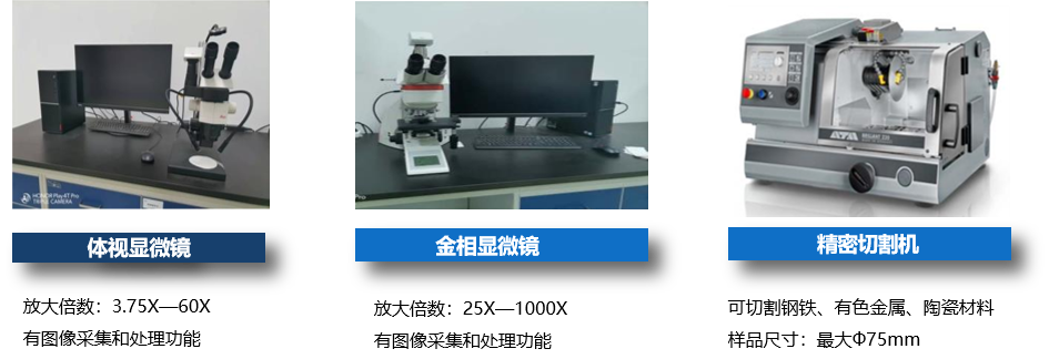 (图1
			)